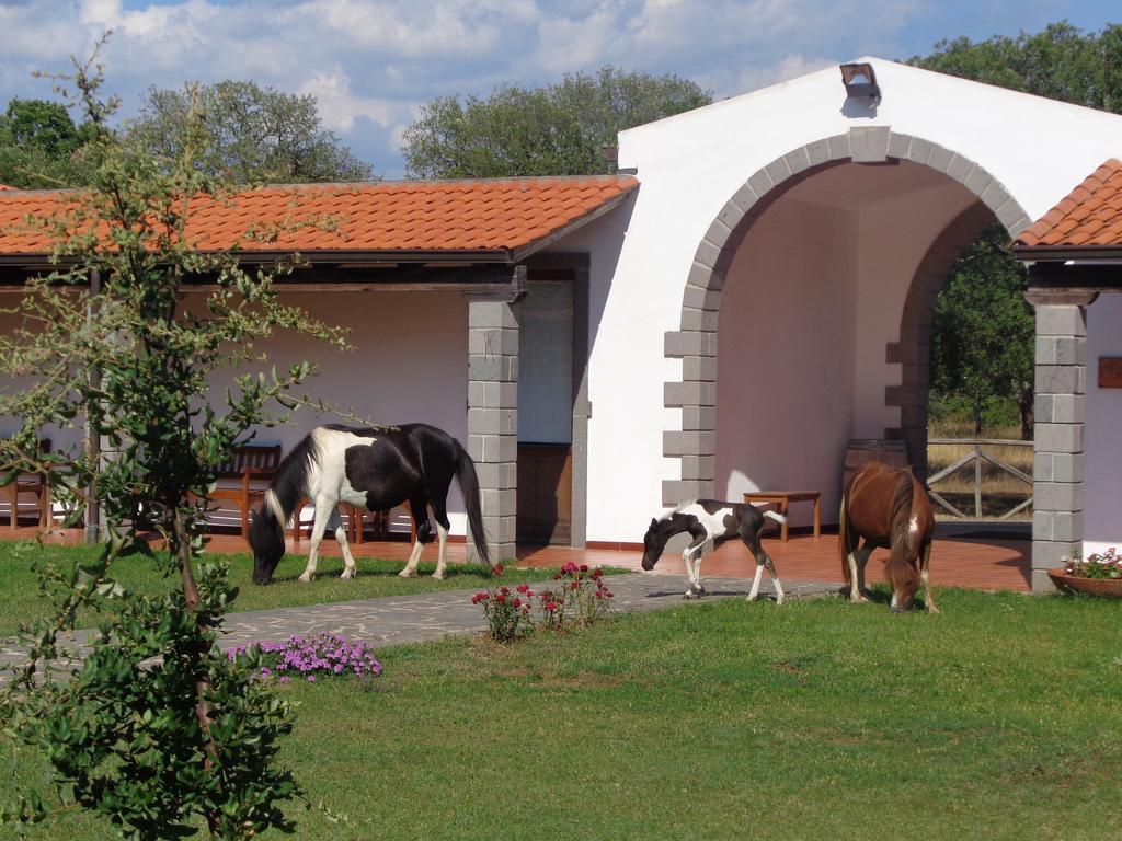 Hotel Su Baione Abbasanta Екстериор снимка